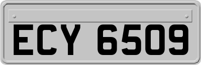 ECY6509