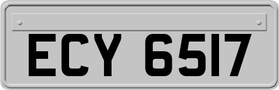 ECY6517
