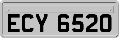 ECY6520