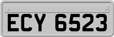 ECY6523