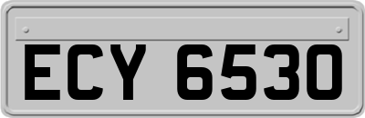 ECY6530