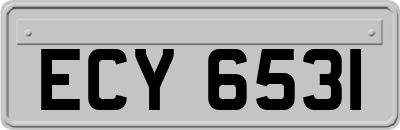 ECY6531