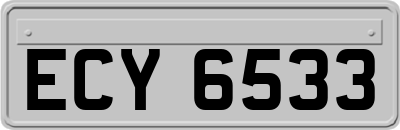 ECY6533