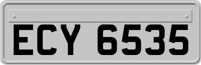 ECY6535