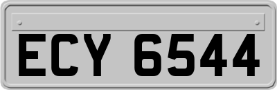 ECY6544