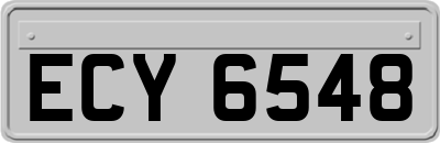 ECY6548