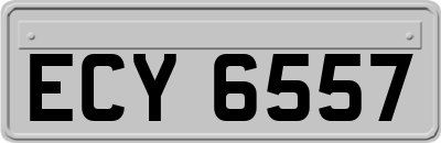 ECY6557
