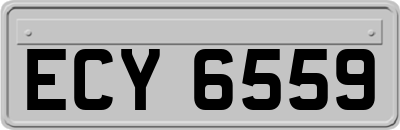 ECY6559