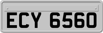 ECY6560