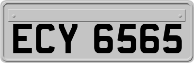 ECY6565