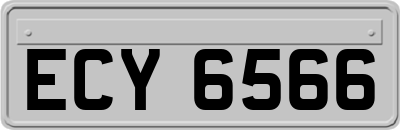 ECY6566
