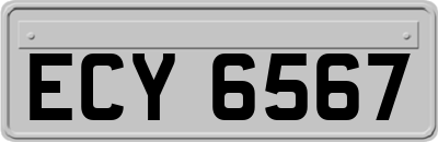 ECY6567