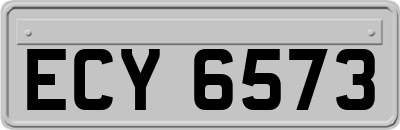 ECY6573