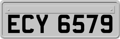ECY6579