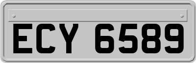 ECY6589