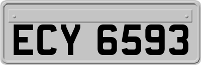 ECY6593