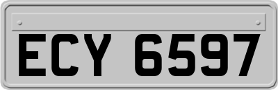 ECY6597