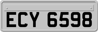 ECY6598