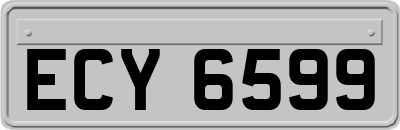 ECY6599