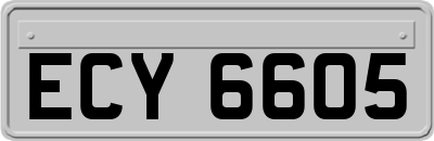 ECY6605