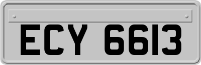ECY6613