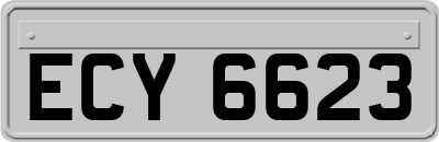 ECY6623