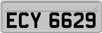 ECY6629