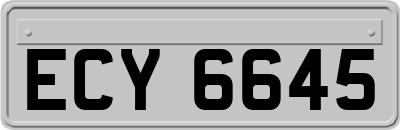 ECY6645