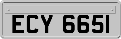 ECY6651
