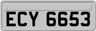 ECY6653