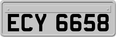 ECY6658