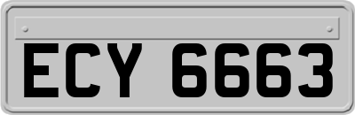 ECY6663