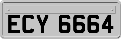 ECY6664
