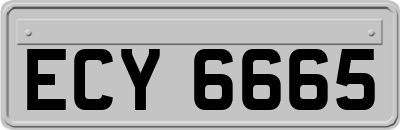 ECY6665