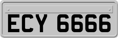 ECY6666