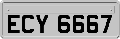ECY6667