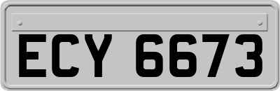 ECY6673