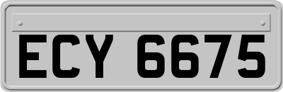 ECY6675