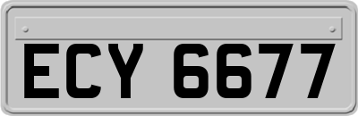 ECY6677
