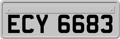 ECY6683