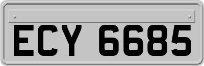 ECY6685