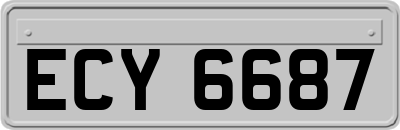 ECY6687