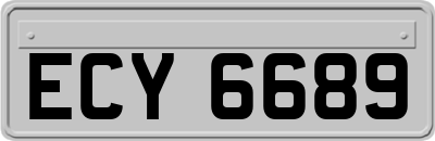 ECY6689