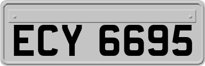 ECY6695