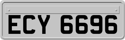 ECY6696