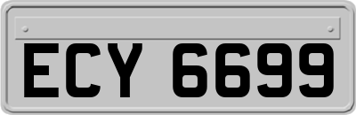 ECY6699