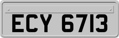 ECY6713