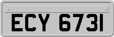 ECY6731