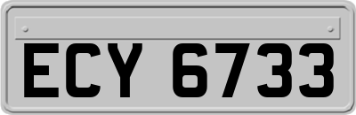 ECY6733