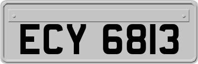 ECY6813
